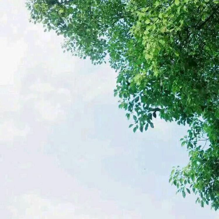 平田薰（饰 关原妙） - 马酷电影大全在线观看8 - 线上看视频